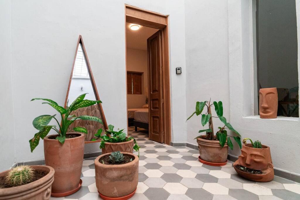 Casa Del Desierto Villa Гуадалахара Екстериор снимка
